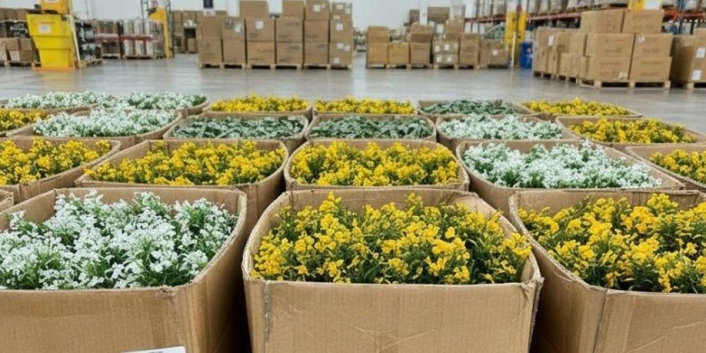 Artificial Flowers and Greeneries