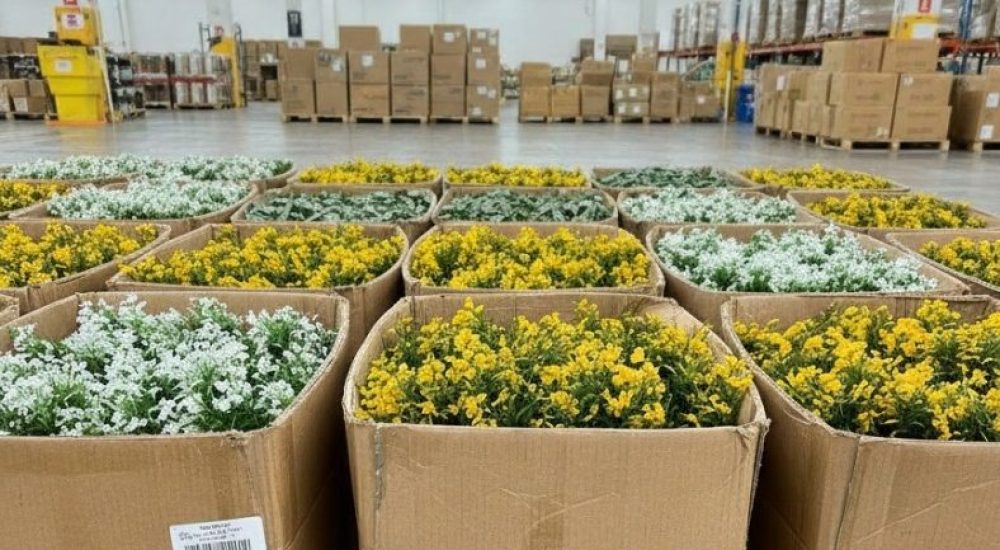 Artificial Flowers and Greeneries